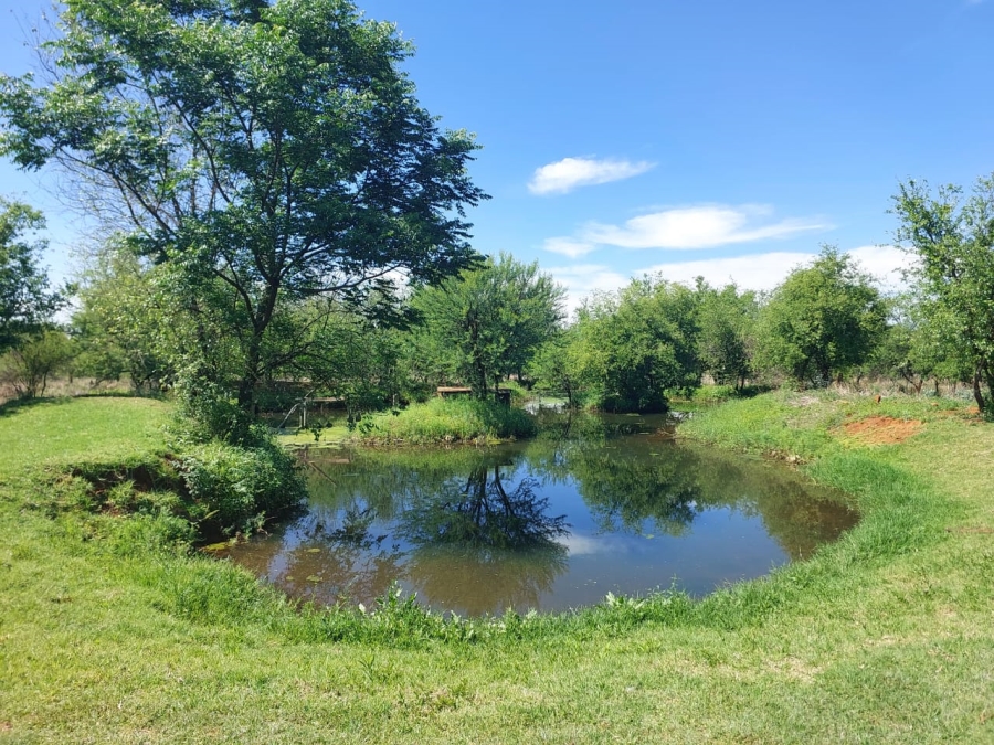 Commercial Property for Sale in Mamogaleskraal AH North West